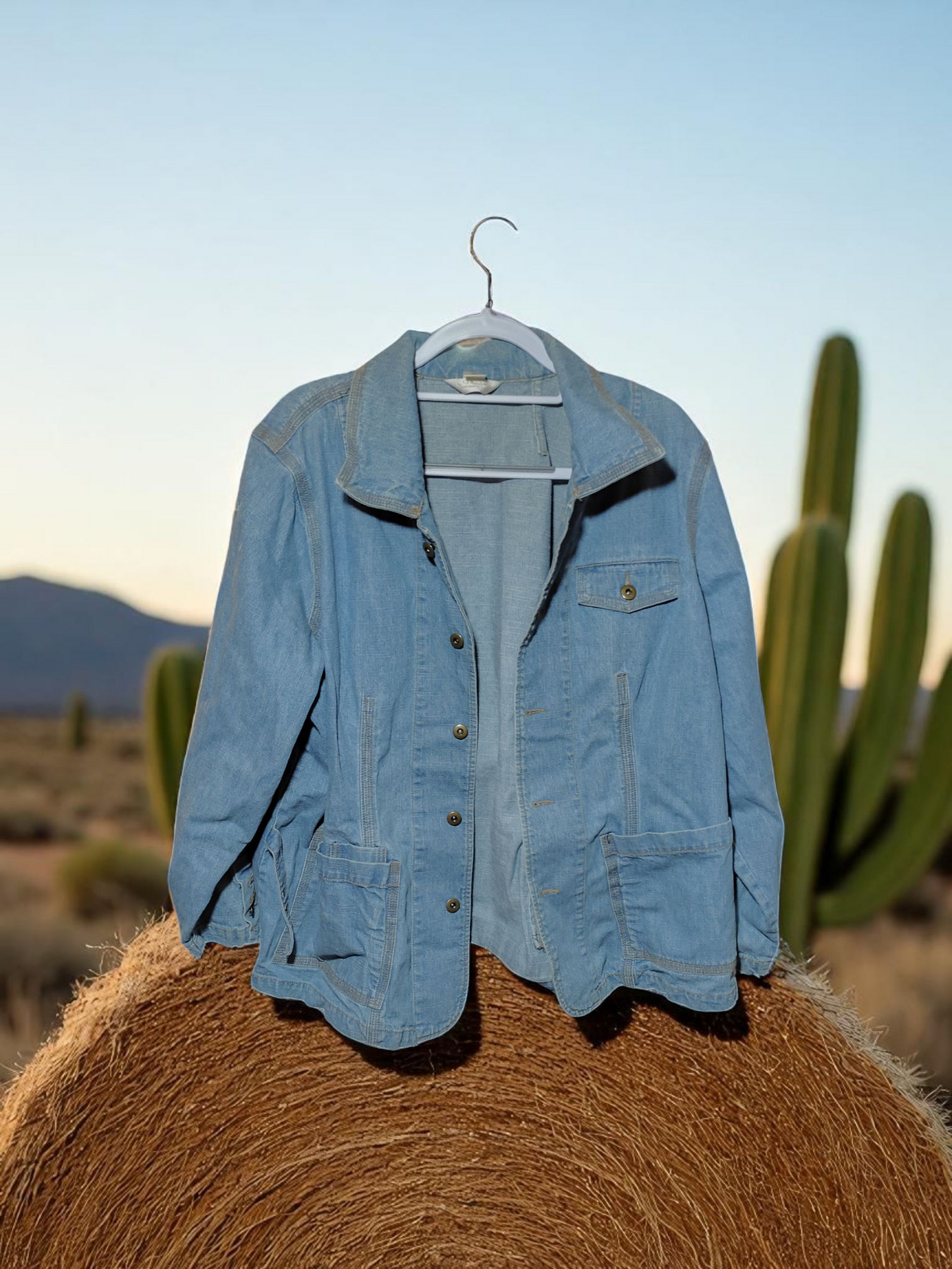 Vintage CJ Banks Jean Jacket