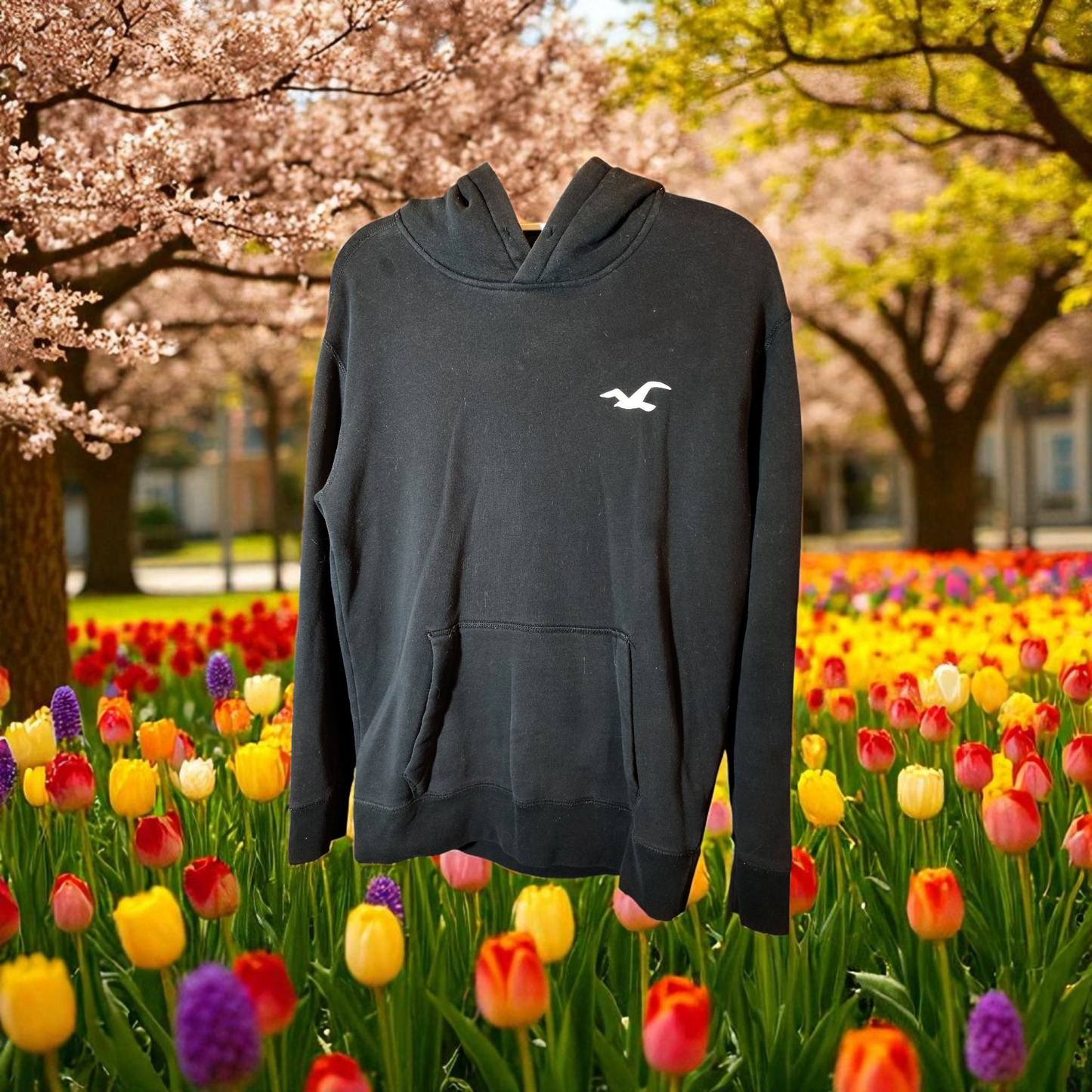 Black Hollister  hoodie  Medium