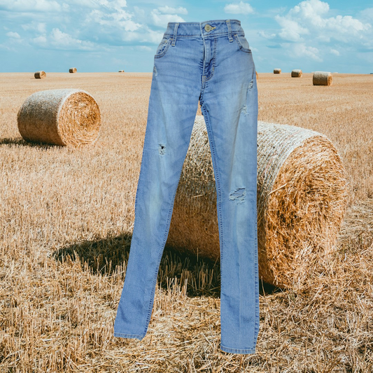Hollister hole jeans  size W:29  L: 33