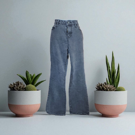 no boundaries stretch jean's 