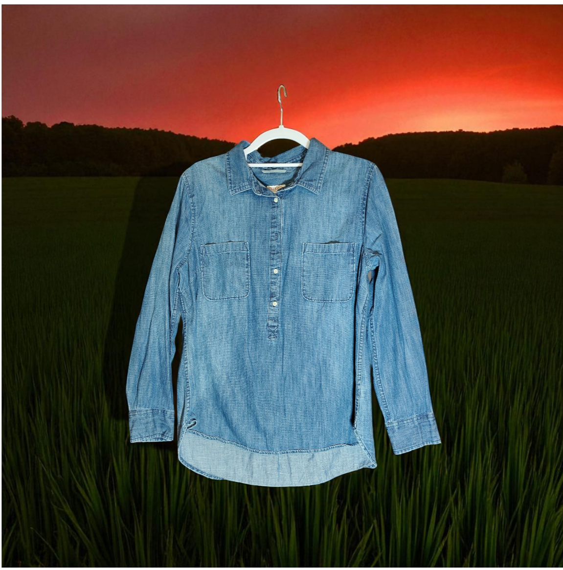 Blue Jean long sleeve woman's button up size XXL