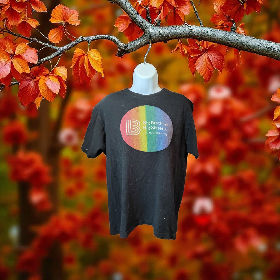 Black big bro big sis t shirt with small stain on rainbow print